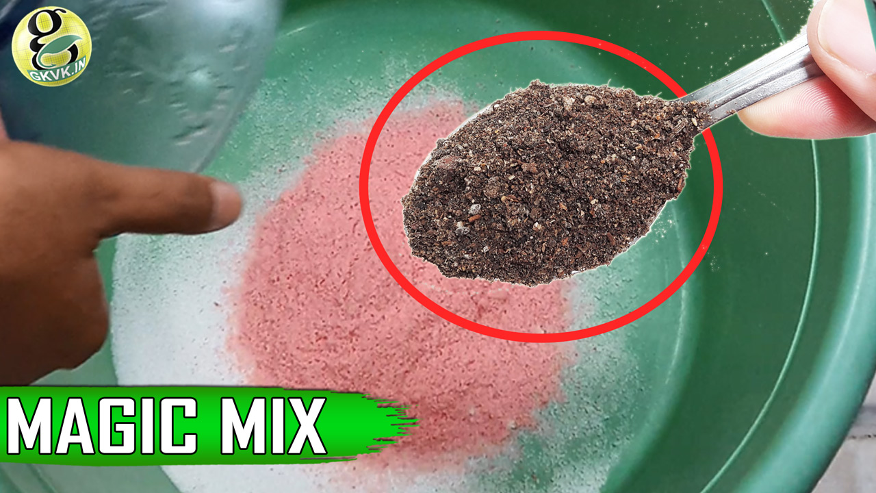 Fertilizer Recipe – DIY Mixed